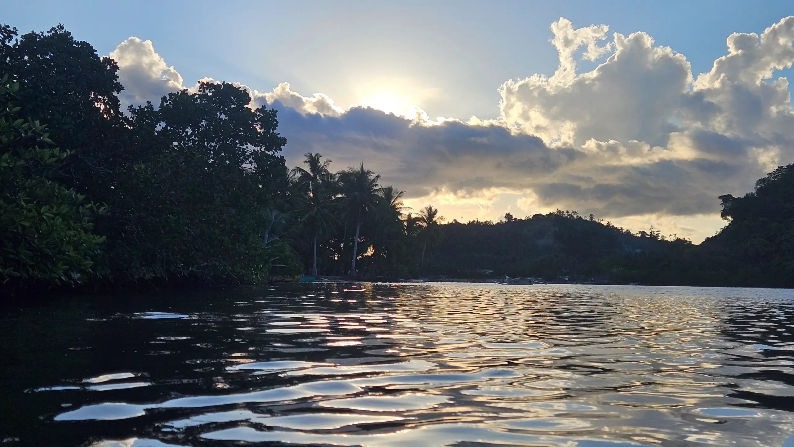 Tropical lagoon sunset in Siargao with palm and mangrove silhouettes reflecting on calm water — digital nomad destination Philippines