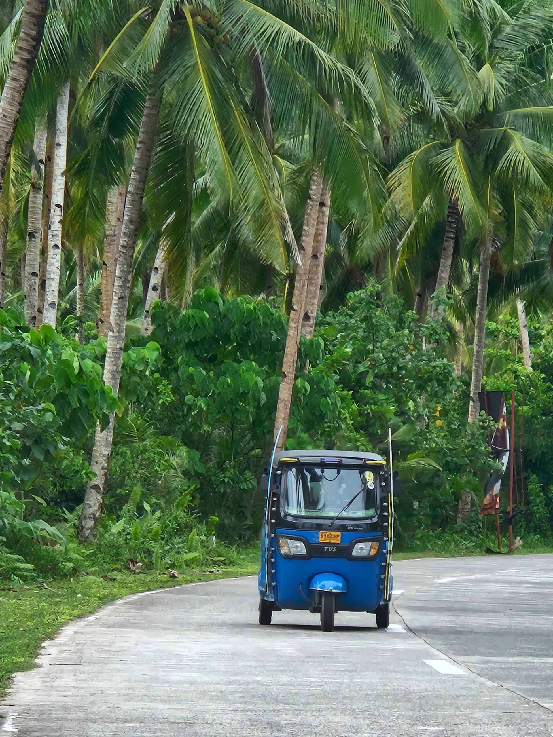 Blue tuk-tuk driving under towering coconut palms on a tropical Siargao road